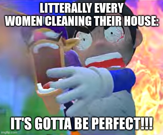 it's true | LITTERALLY EVERY WOMEN CLEANING THEIR HOUSE:; IT'S GOTTA BE PERFECT!!! | image tagged in it's gotta be perfect | made w/ Imgflip meme maker