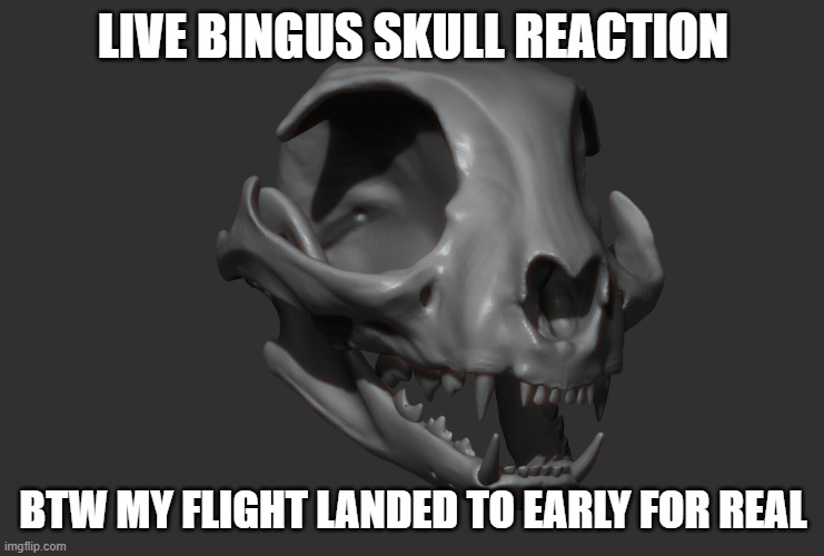 live bingus skull reaction | LIVE BINGUS SKULL REACTION; BTW MY FLIGHT LANDED TO EARLY FOR REAL | image tagged in live bingus skull reaction | made w/ Imgflip meme maker