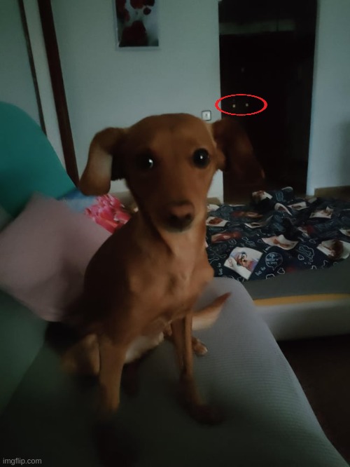 ARE THOSE EYES>?!?!?!?!!11!11!1??11 | made w/ Imgflip meme maker