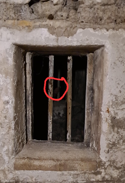 THATS A GODAMN HAND | made w/ Imgflip meme maker