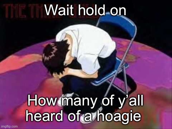 Lol Shinji died | Wait hold on; How many of y’all heard of a hoagie | image tagged in lol shinji died | made w/ Imgflip meme maker