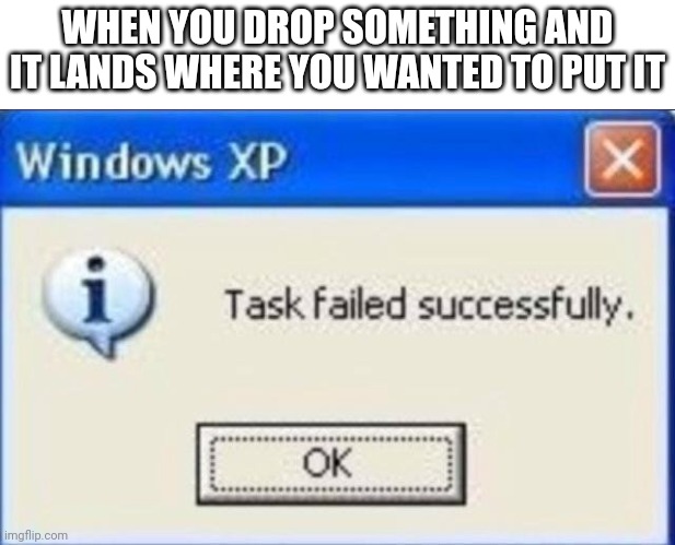 A | WHEN YOU DROP SOMETHING AND IT LANDS WHERE YOU WANTED TO PUT IT | image tagged in task failed successfully,drop | made w/ Imgflip meme maker