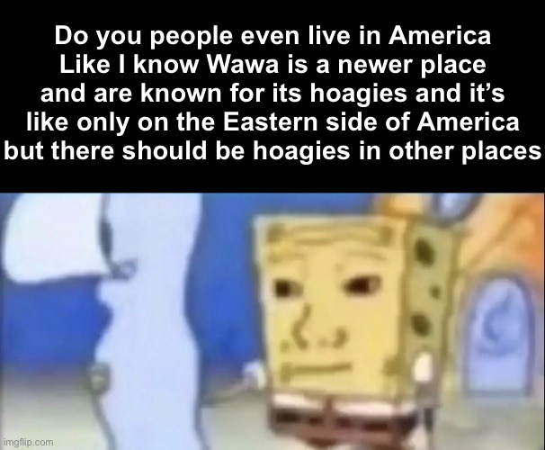 Ima have to teach you kids about food | Do you people even live in America
Like I know Wawa is a newer place and are known for its hoagies and it’s like only on the Eastern side of America but there should be hoagies in other places | image tagged in bruh | made w/ Imgflip meme maker