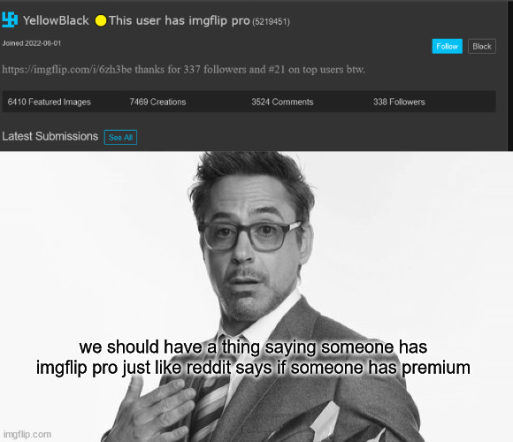 pls | we should have a thing saying someone has imgflip pro just like reddit says if someone has premium | image tagged in robert downey jr's comments | made w/ Imgflip meme maker