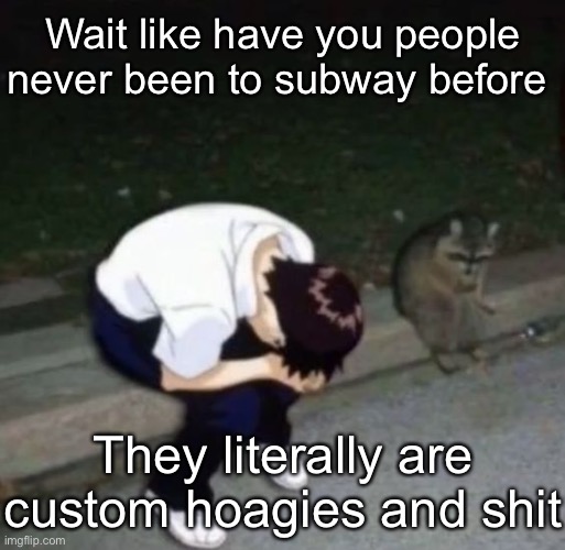 And don’t you dare say you don’t have one cuz they have subways like everywhere, even outside of America | Wait like have you people never been to subway before; They literally are custom hoagies and shit | image tagged in shinj crying with his raccoon homie | made w/ Imgflip meme maker