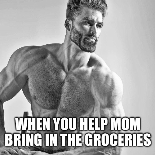 Kids be like | WHEN YOU HELP MOM BRING IN THE GROCERIES | image tagged in gigachad | made w/ Imgflip meme maker