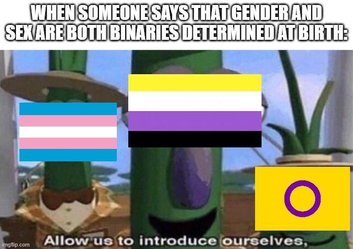 Neither gender nor sex are binary | WHEN SOMEONE SAYS THAT GENDER AND SEX ARE BOTH BINARIES DETERMINED AT BIRTH: | image tagged in veggietales 'allow us to introduce ourselfs',lgbtq,memes,transgender,intersex,non binary | made w/ Imgflip meme maker