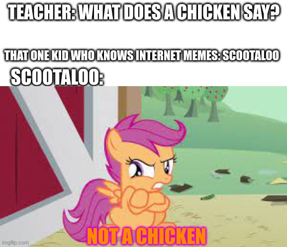 NOT A CHICKEN | image tagged in scootaloo,mlp,chicken,fun,old memes,funny | made w/ Imgflip meme maker