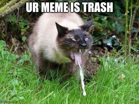 Cat Barfing | UR MEME IS TRASH | image tagged in cat barfing | made w/ Imgflip meme maker