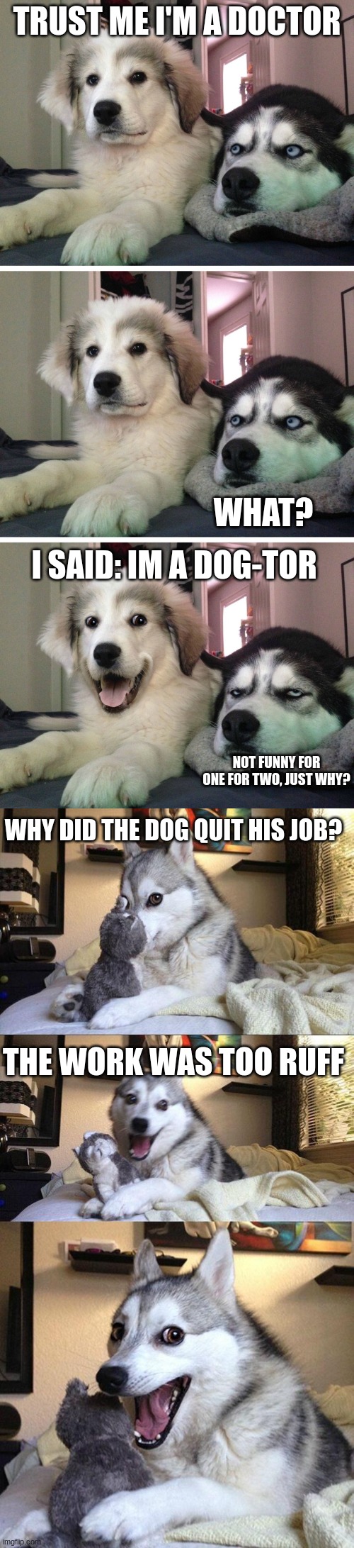 2 dog jokes | TRUST ME I'M A DOCTOR; WHAT? I SAID: IM A DOG-TOR; NOT FUNNY FOR ONE FOR TWO, JUST WHY? WHY DID THE DOG QUIT HIS JOB? THE WORK WAS TOO RUFF | image tagged in memes,not funny | made w/ Imgflip meme maker