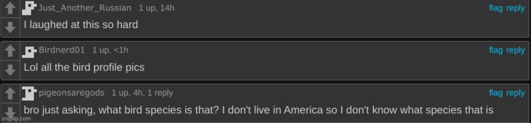 All of the people with bird profile pics have arrived to the comments. This is a once in a lifetime sighting. | made w/ Imgflip meme maker