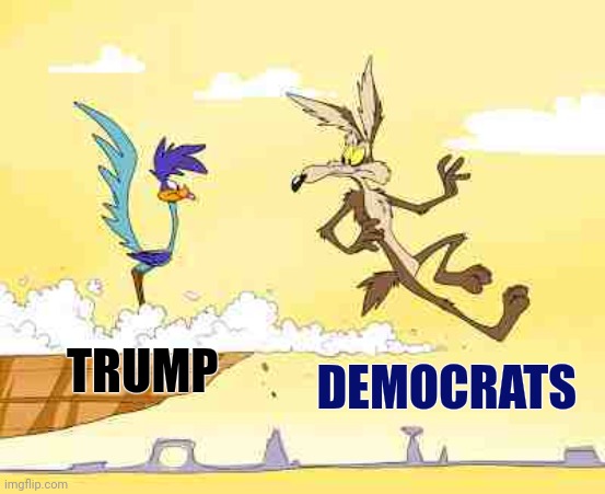 Wile E. Coyote roadrunner | TRUMP DEMOCRATS | image tagged in wile e coyote roadrunner | made w/ Imgflip meme maker