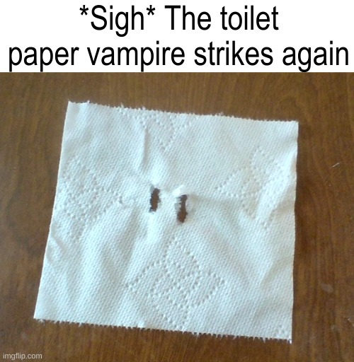 Cat ripped my toilet paper and I just thought of this | *Sigh* The toilet paper vampire strikes again | image tagged in toilet paper,funny,memes,lol so funny | made w/ Imgflip meme maker