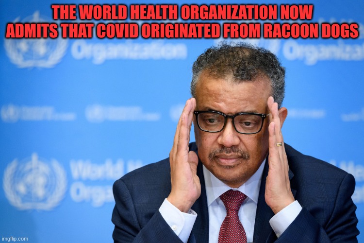 After it was widely believed to have originated from bats |  THE WORLD HEALTH ORGANIZATION NOW ADMITS THAT COVID ORIGINATED FROM RACOON DOGS | image tagged in world,health,covid19,racoon,politics lol,who | made w/ Imgflip meme maker
