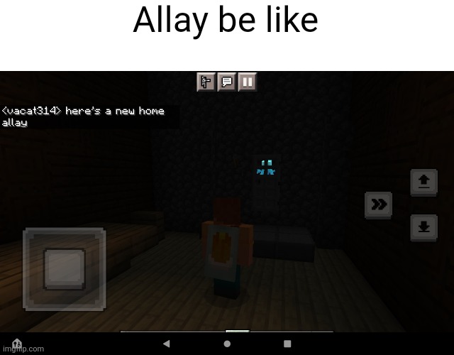 Le Minecraft meme | Allay be like | image tagged in minecraft | made w/ Imgflip meme maker