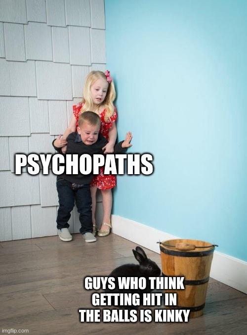 Kids Afraid of Rabbit | PSYCHOPATHS; GUYS WHO THINK GETTING HIT IN THE BALLS IS KINKY | image tagged in kids afraid of rabbit | made w/ Imgflip meme maker