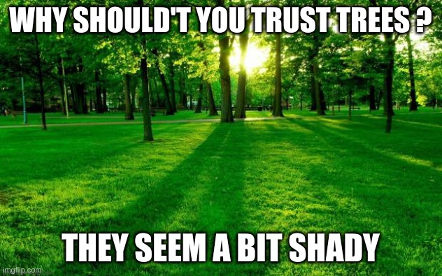 Back to the eyeroll stream for more bad puns and dad jokes | WHY SHOULD'T YOU TRUST TREES ? THEY SEEM A BIT SHADY | image tagged in grass and trees,eyeroll | made w/ Imgflip meme maker