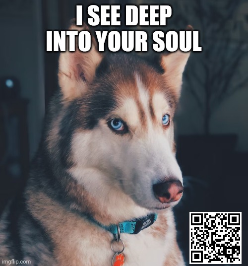 Cute dog meme | I SEE DEEP INTO YOUR SOUL | image tagged in so true memes,dogs,funny cats,rick rips wallpaper,fairy tales | made w/ Imgflip meme maker