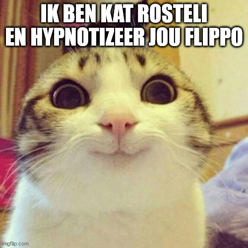 Smiling Cat Meme | IK BEN KAT ROSTELI EN HYPNOTIZEER JOU FLIPPO | image tagged in memes,smiling cat | made w/ Imgflip meme maker