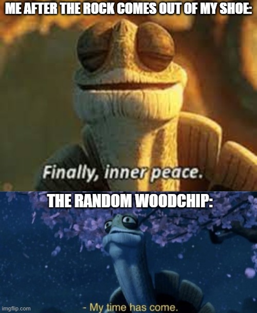 It Never Ends | ME AFTER THE ROCK COMES OUT OF MY SHOE:; THE RANDOM WOODCHIP: | image tagged in funny,master oogway | made w/ Imgflip meme maker
