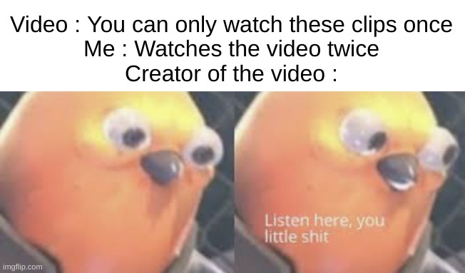 Lmao |  Video : You can only watch these clips once
Me : Watches the video twice
Creator of the video : | image tagged in listen here you little shit bird,meme,memes,funny,relatable,front page plz | made w/ Imgflip meme maker