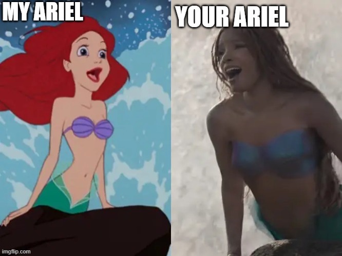 Allow it | image tagged in ariel,disney,disney princesses,princess,the little mermaid,fuck you | made w/ Imgflip meme maker