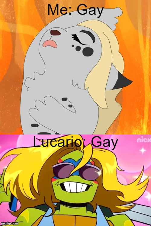 Gay Ashfur from WC and Gay Leo from ROTTMNT | Me: Gay; Lucario: Gay | made w/ Imgflip meme maker