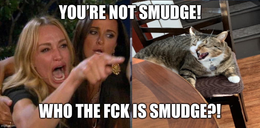Murrie vs Smudge Lady | YOU’RE NOT SMUDGE! WHO THE FCK IS SMUDGE?! | image tagged in woman yelling at cat | made w/ Imgflip meme maker