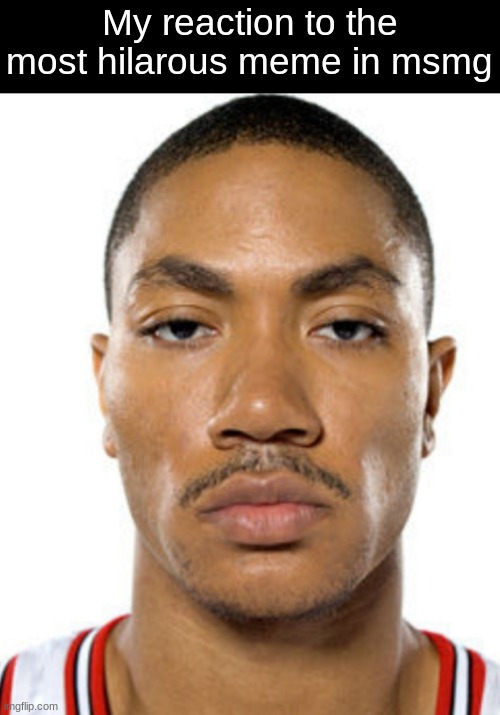 Derrick Rose Straight Face | My reaction to the most hilarous meme in msmg | image tagged in derrick rose straight face | made w/ Imgflip meme maker