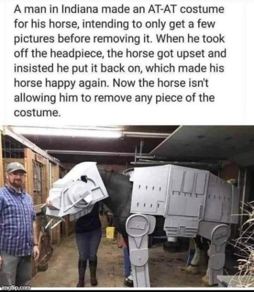 AT-AT Horse | image tagged in star wars,memes,funny,horse | made w/ Imgflip meme maker