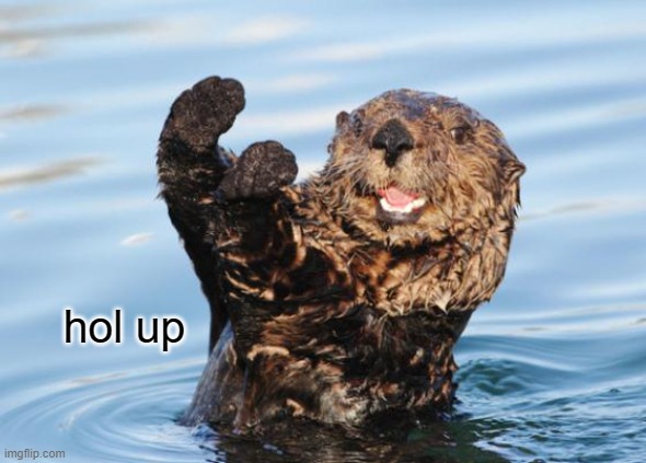 otter celebration | hol up | image tagged in otter celebration | made w/ Imgflip meme maker