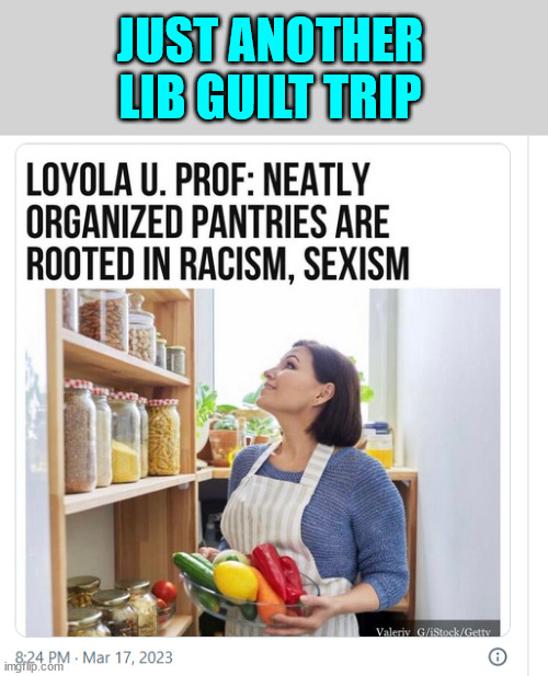 JUST ANOTHER LIB GUILT TRIP | made w/ Imgflip meme maker