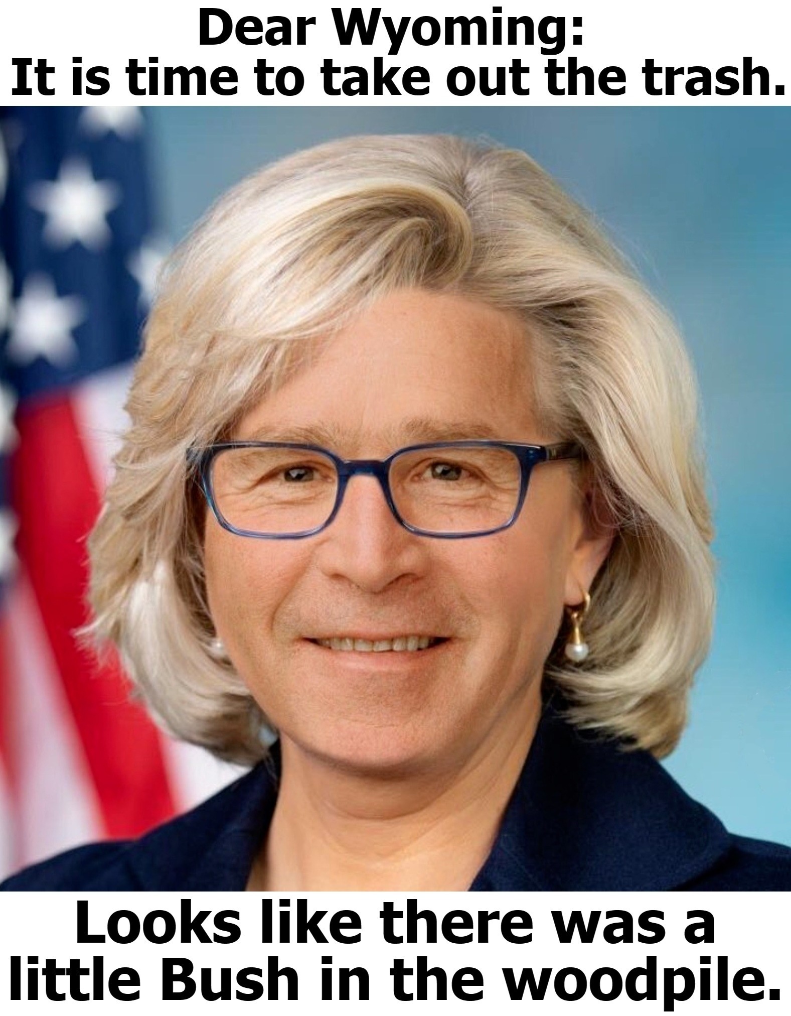 Dear Wyoming: It is time to take out the trash. | image tagged in liz cheney,bush in the woodpile,incest is best,rino,traitor,treason | made w/ Imgflip meme maker