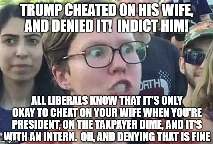 Triggered Liberal |  TRUMP CHEATED ON HIS WIFE, AND DENIED IT!  INDICT HIM! ALL LIBERALS KNOW THAT IT'S ONLY OKAY TO CHEAT ON YOUR WIFE WHEN YOU'RE PRESIDENT, ON THE TAXPAYER DIME, AND IT'S WITH AN INTERN.  OH, AND DENYING THAT IS FINE | image tagged in triggered liberal | made w/ Imgflip meme maker