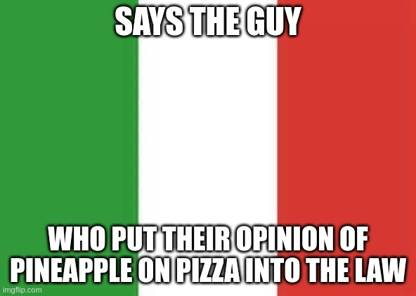 italy flag | SAYS THE GUY; WHO PUT THEIR OPINION OF PINEAPPLE ON PIZZA INTO THE LAW | image tagged in italy flag | made w/ Imgflip meme maker