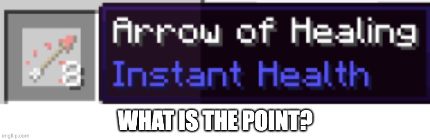 Why? | WHAT IS THE POINT? | image tagged in memes,custom template,minecraft,why | made w/ Imgflip meme maker
