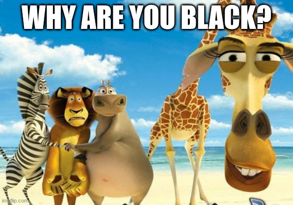 Racism | WHY ARE YOU BLACK? | image tagged in madagascar giraffe judging | made w/ Imgflip meme maker