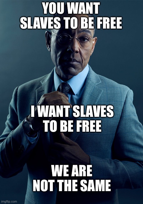 Gus Fring we are not the same | YOU WANT SLAVES TO BE FREE; I WANT SLAVES TO BE FREE; WE ARE NOT THE SAME | image tagged in gus fring we are not the same | made w/ Imgflip meme maker