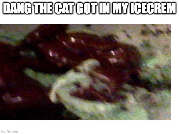 DANG THE CAT GOT IN MY ICECREM | made w/ Imgflip meme maker