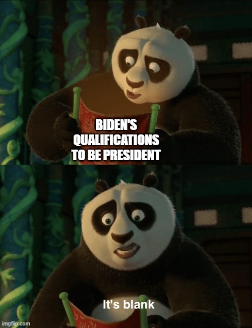 Biden's Qualifications - Kung Fu Panda Meme | BIDEN'S QUALIFICATIONS TO BE PRESIDENT | image tagged in kung fu panda blank | made w/ Imgflip meme maker