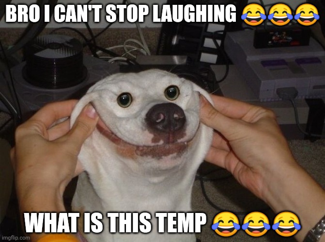 AAHHH, HELP, I'M DYING | BRO I CAN'T STOP LAUGHING 😂😂😂; WHAT IS THIS TEMP 😂😂😂 | image tagged in forced to smile dog | made w/ Imgflip meme maker