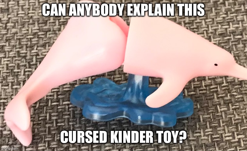 CAN ANYBODY EXPLAIN THIS; CURSED KINDER TOY? | made w/ Imgflip meme maker