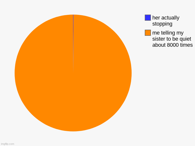 srsly my everyday (for weekends) stress | me telling my sister to be quiet about 8000 times, her actually stopping | image tagged in charts,pie charts | made w/ Imgflip chart maker