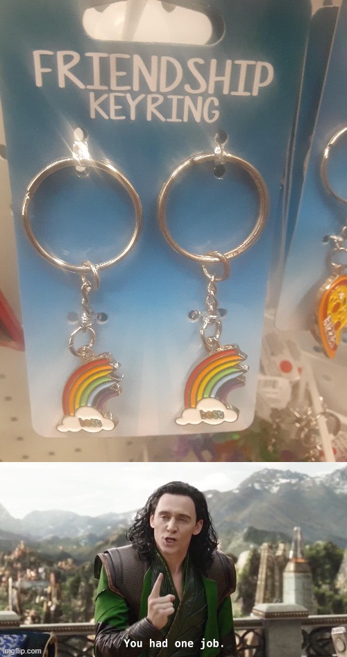 You had one job to match the correct key chains | image tagged in you had one job just the one,memes,you had one job,funny,chain | made w/ Imgflip meme maker