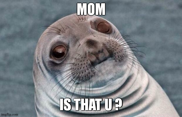 Awkward Moment Sealion Meme | MOM IS THAT U ? | image tagged in memes,awkward moment sealion | made w/ Imgflip meme maker