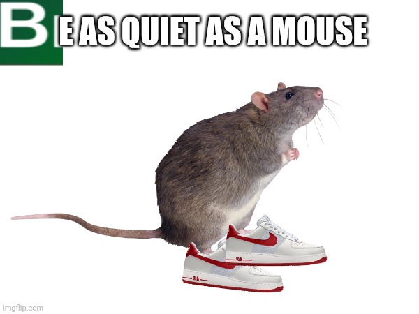 Funny | E AS QUIET AS A MOUSE | image tagged in funny memes | made w/ Imgflip meme maker