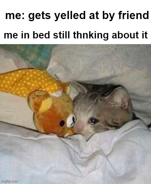 this happened all the time ngl | me: gets yelled at by friend; me in bed still thnking about it | image tagged in blank white template,crying cat,so true memes | made w/ Imgflip meme maker