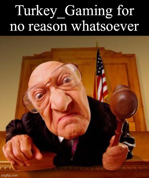 Mean Judge |  Turkey_Gaming for no reason whatsoever | image tagged in mean judge | made w/ Imgflip meme maker