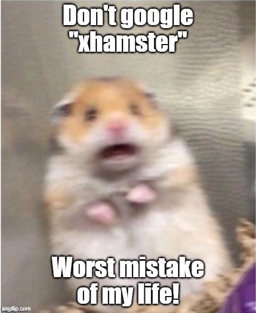 don't | Don't google "xhamster"; Worst mistake of my life! | image tagged in scared hamster,dark humor | made w/ Imgflip meme maker