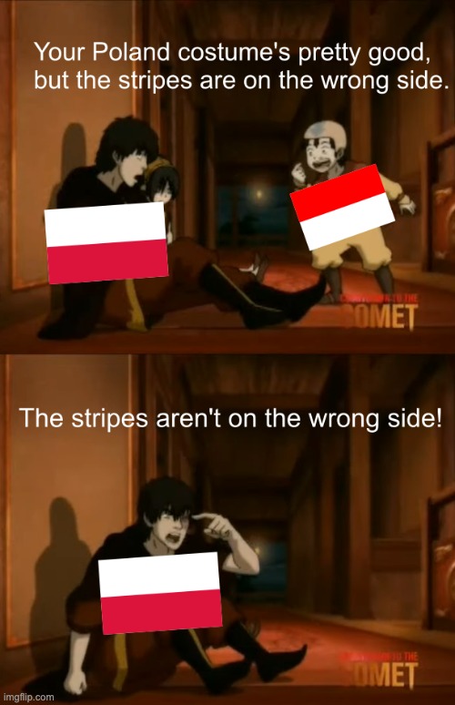 Looks like Poland and Indonesia are in the middle of a national flag dispute. | image tagged in history,memes,funny,poland,indonesia | made w/ Imgflip meme maker